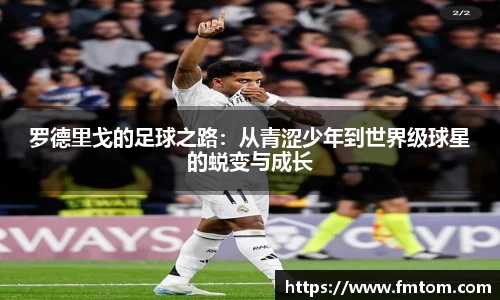 完美体育官网